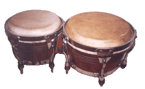 bongo drummer
